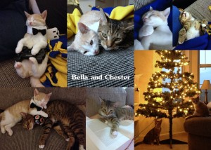 Bella and Chester